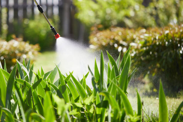 24/7 Emergency Mosquito Control experts in Clinton, OH