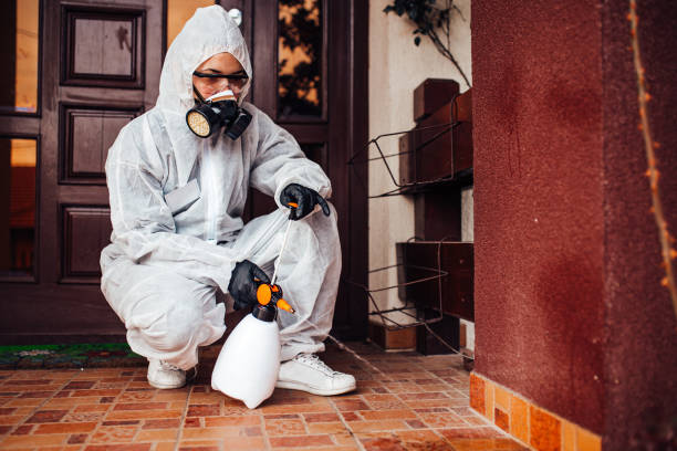 Reliable Mosquito Control contractor in Clinton, OH by Nex Pest Control
