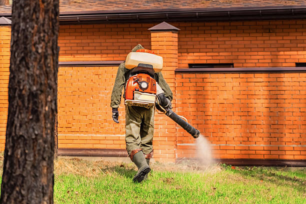 Top rated local Mosquito Control specialists in Clinton, OH